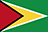 Flag of Guyana