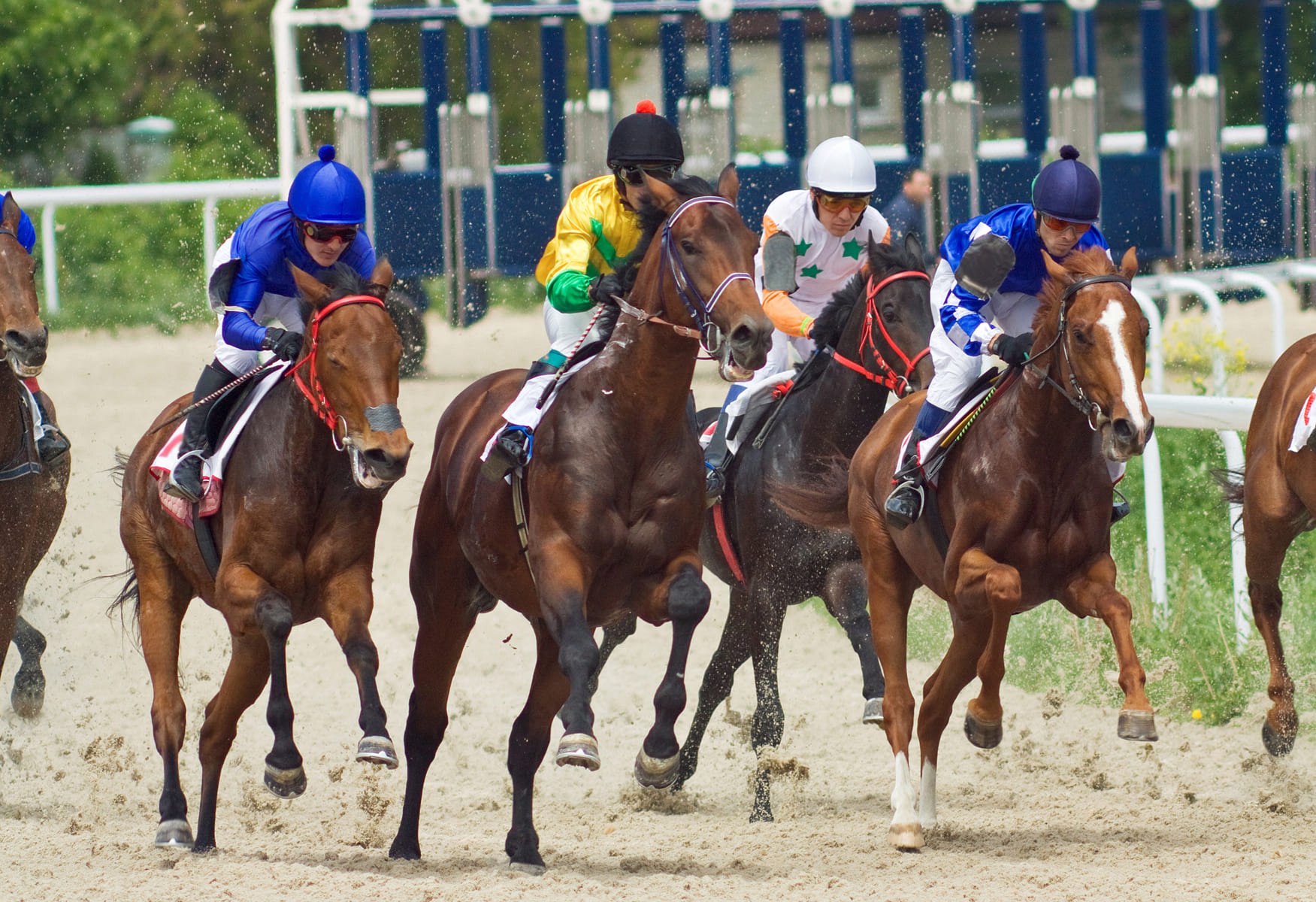 A group of jockeys riding thoroughbred horses at full speed, kicking up sand as they race on a dirt track.