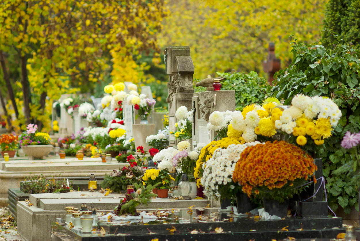 A serene cemetery with graves decorated with vibrant flowers, reflecting remembrance and tribute on All Saints' Day.