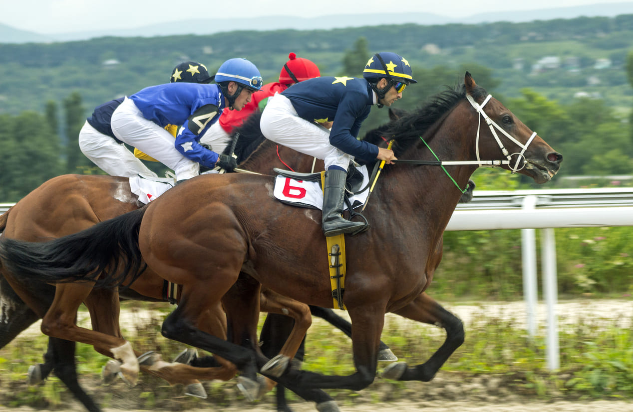 Jockeys in colorful silks riding thoroughbred horses at full speed during a competitive horse race.