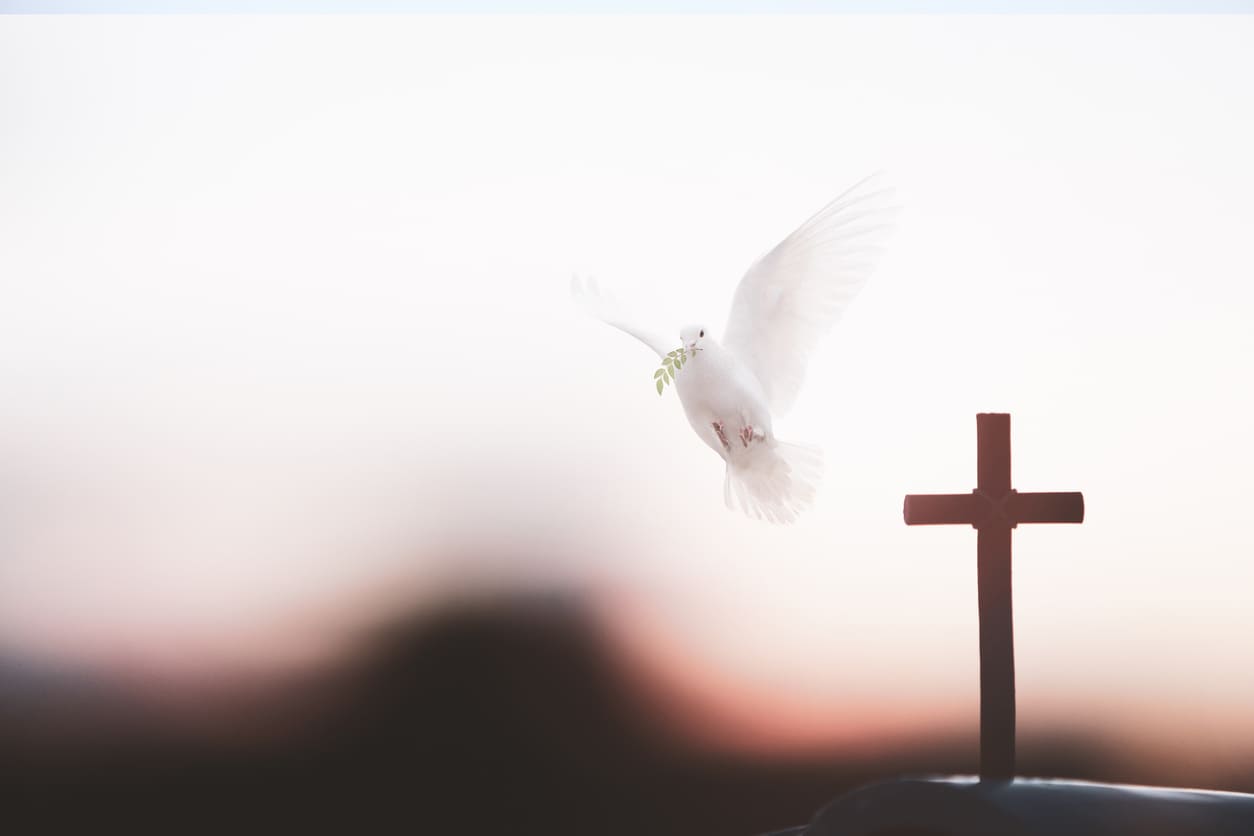 A white dove carrying an olive branch soars beside a cross, symbolising peace, faith, and the Holy Spirit.