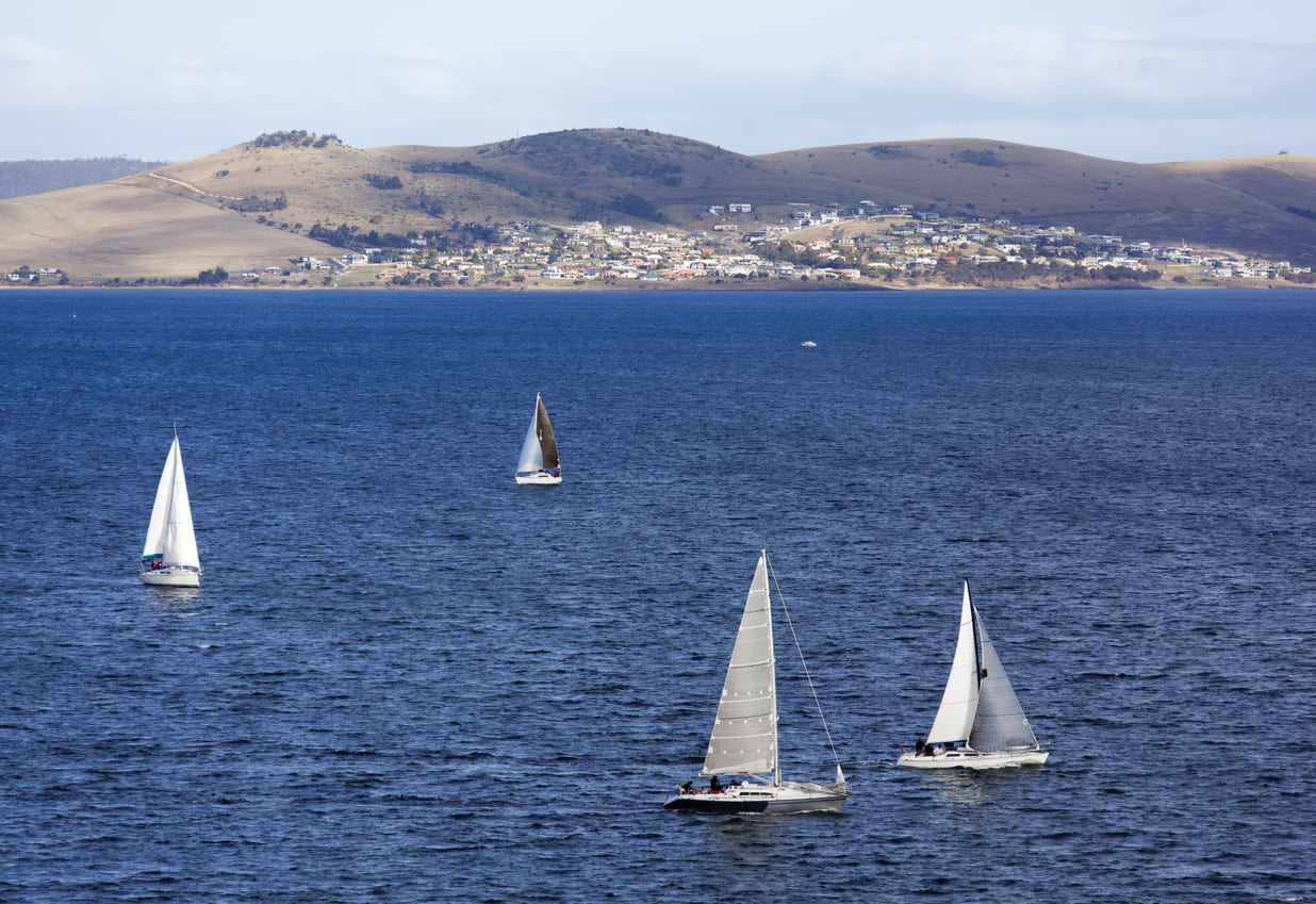 Sailboats racing on the River Derwent with rolling hills and coastal homes in the background, capturing the spirit of the Royal Hobart Regatta.