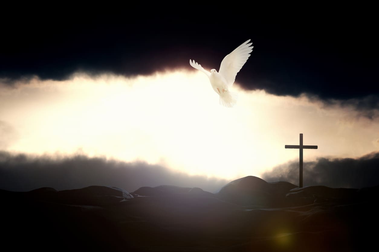 A white dove soars into the light beside a cross, symbolizing the Holy Spirit and the peaceful continuation of Pentecost on Whit Monday.