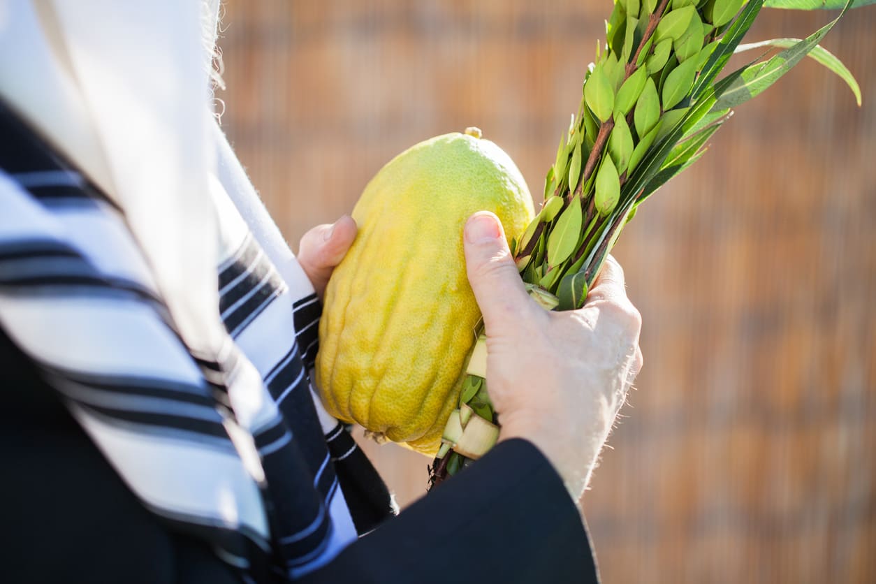 A person holding the Lulav and Etrog, key symbols of Sukkot, while wearing a prayer shawl, symbolizing the observance of Hoshana Rabbah.