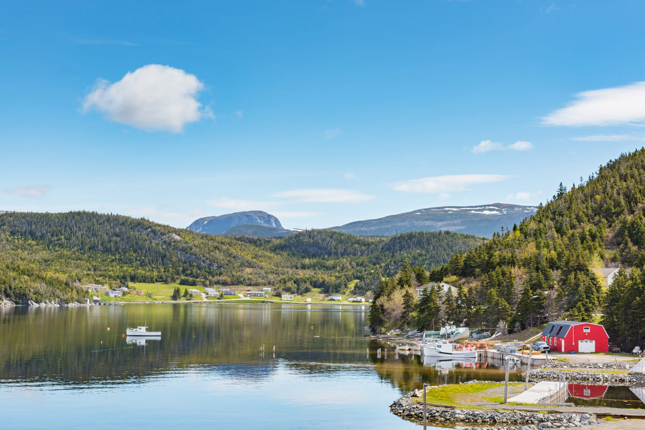A peaceful coastal landscape in Newfoundland and Labrador, featuring calm waters, fishing boats, and lush green hills, embodying the spirit of June Holiday.