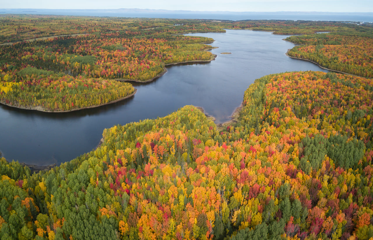 An aerial view of New Brunswick's colorful autumn forests and winding rivers, highlighting the province's scenic beauty and rich natural landscape.