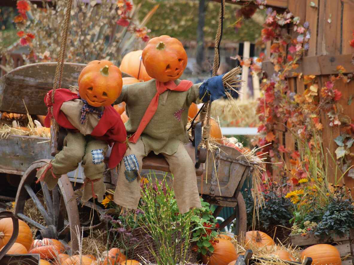 Two scarecrows with carved pumpkin heads sit on a swing in a rustic autumn setting.