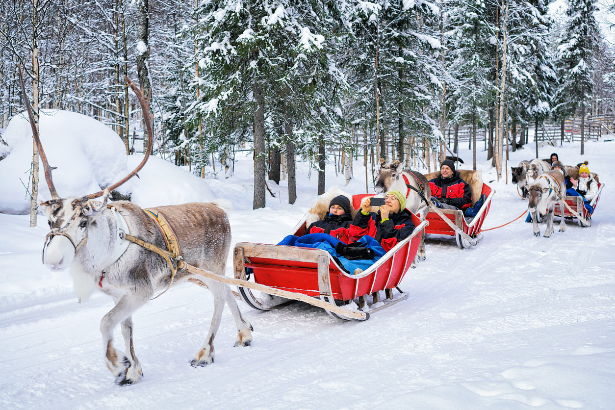 A group of people ride reindeer-drawn sleighs through a snow-covered forest, enjoying the winter tradition of Tapaninpäivä.