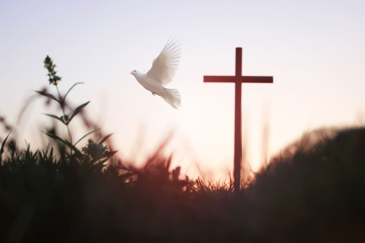 A white dove soaring near a cross, symbolizing the Holy Spirit during Whit Sunday or Pentecost.