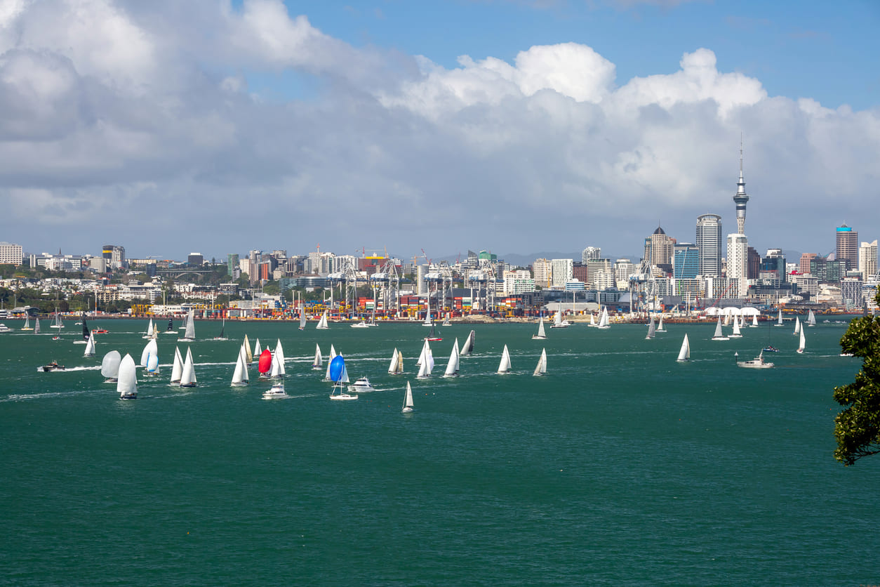 Dozens of colorful yachts sail across Waitematā Harbour, with Auckland's skyline towering in the background during Anniversary Day festivities.