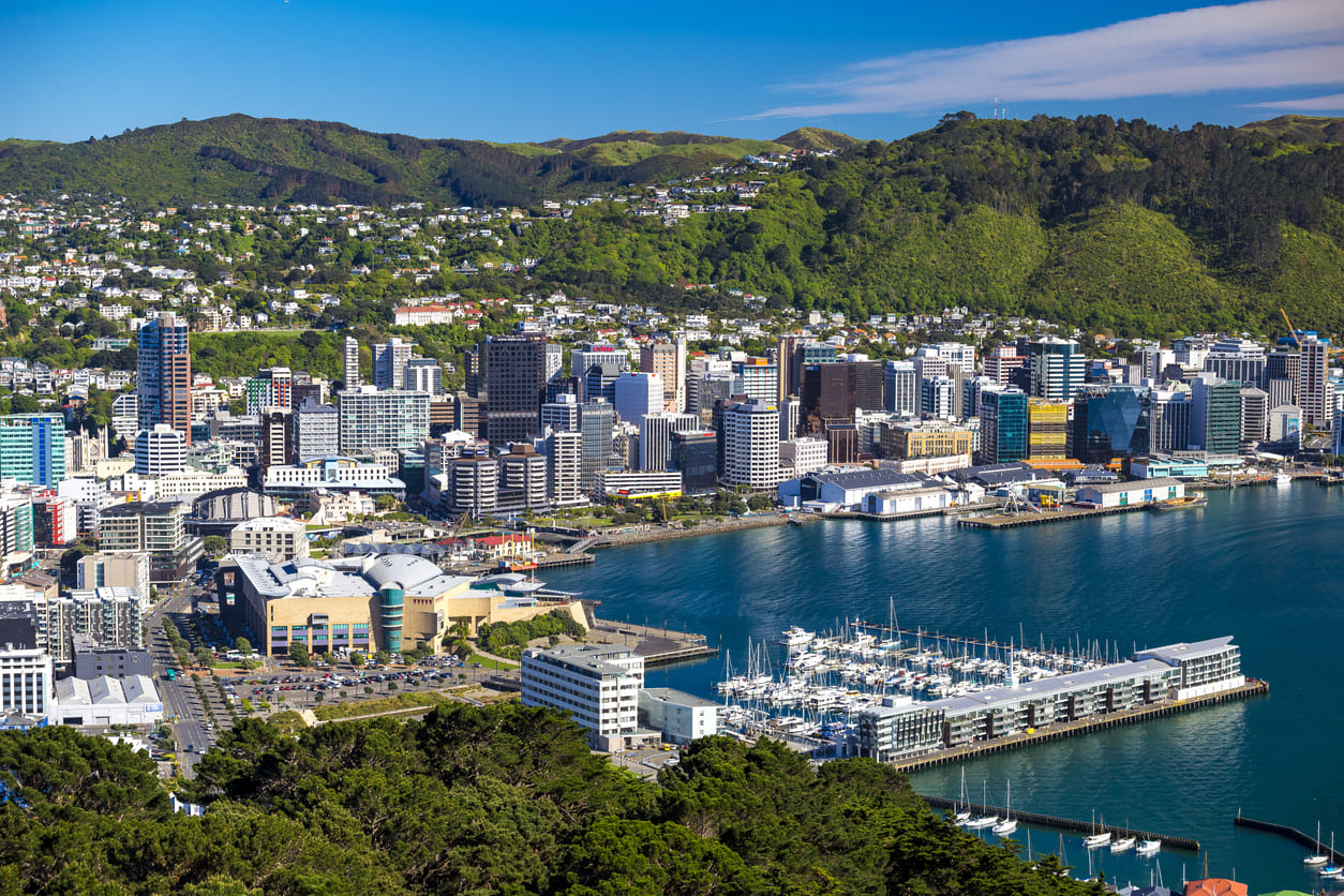 A panoramic view of Wellington Harbour and its bustling cityscape, framed by lush green hills under a bright summer sky.