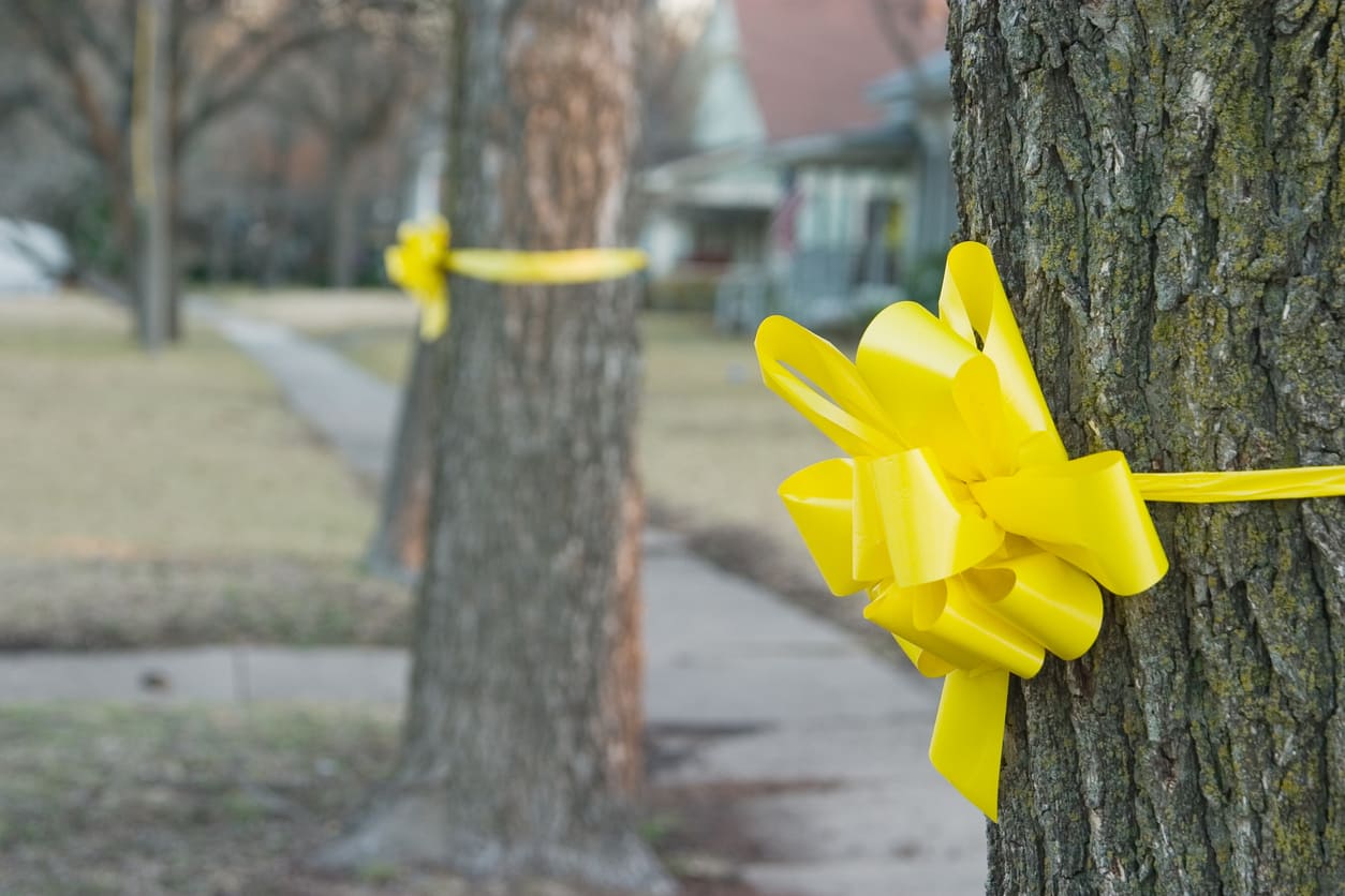 Bright yellow ribbons are tied around trees, symbolizing hope, remembrance, and the enduring legacy of Ninoy Aquino.
