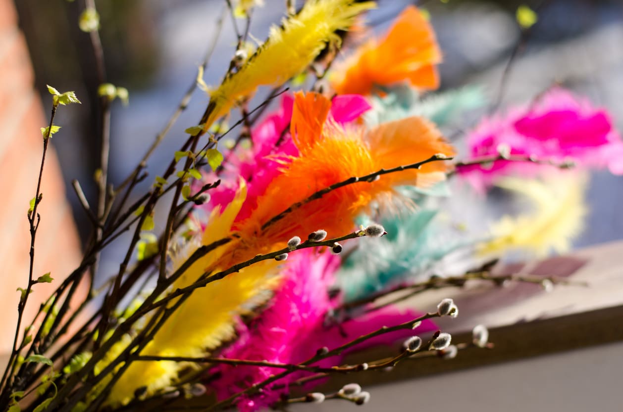 A close-up of traditional Swedish Easter twigs decorated with bright feathers, set against soft spring sunlight.